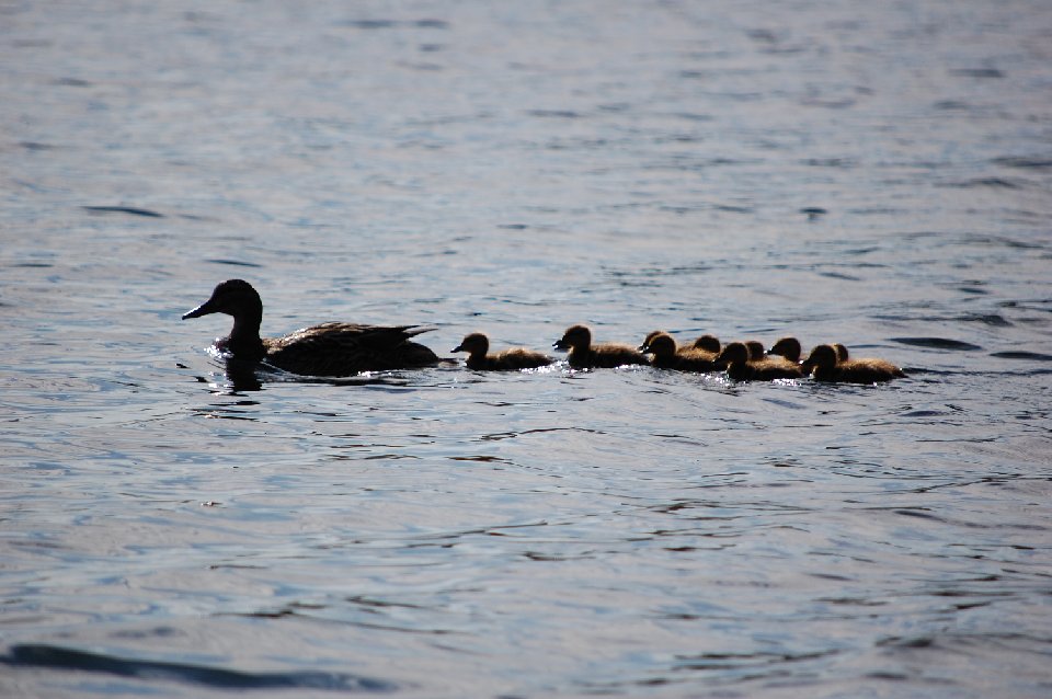 SUMMER2010- (109)